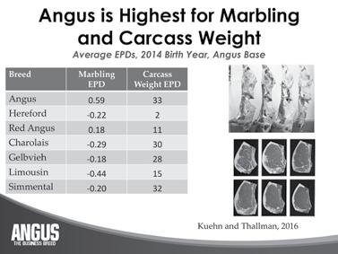 The chart below depicts what an average bull s EPDs of a different breed would be if adjusted to the Angus scale.