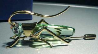 Product Name Brooch Grasshopper, Aptera