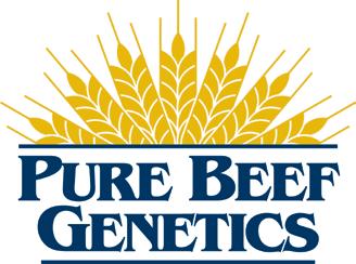 He is very familiar with our cow families, top sires and matings. We are very proud to have our bulls listed with Pure Beef Genetics and look forward to a long working relationship.