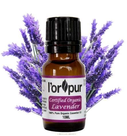 Organic Lavender Essential Oil U s e s & B e n e f i t s If you are beginner in the world of Aromatherapy, you ll definitely want to make friends with Lavender essential oil, also known as first aid