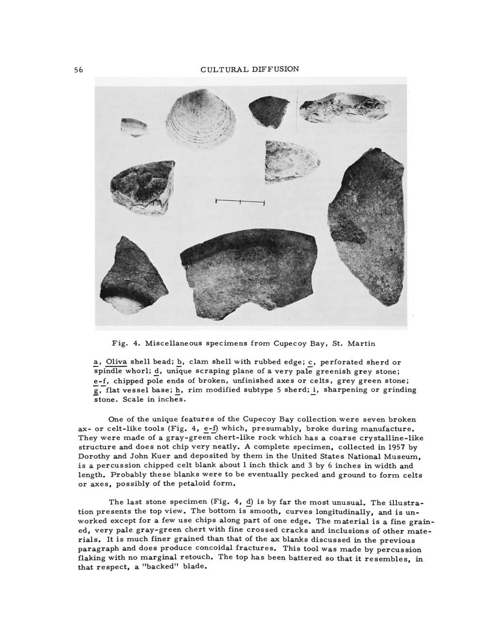 56 CULTURAL DIFFUSION Fig. 4. Miscellaneous specimens from Cupecoy Bay, St. Martin a, Oliva shell bead; b, clam shell with rubbed edge; c, perforated sherd or spindle whorl; d.