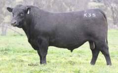 REFERENCE SIRES Ref Sire EF COMPLEMENT 8088 PV USA16198796 DOB: 18/01/2008 Tattoo: 8088 AMF NHF CAF DDF G A R PRECISION 1680 C A FUTURE DIRECTION 5321 TWIN VALLEY PRECISION E161 BR MIDLAND C A MISS