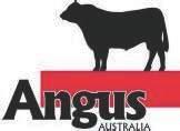 MID-JANUARY 2019 ANGUS AUSTRALIA BREEDPLAN REFERENCE TABLES Brd Avg BREED AVERAGE s Calving Ease Birth Growth Fertility Carcase Other Structure Selection Indexes CEDir CEDtrs GL BW 200 400 600 MCW