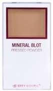 The lightly pigmented formula with mineral ingredients helps reduce shine and