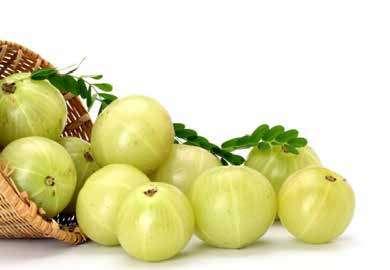 AMLA: It is rich in Vitamin C which works as excellent conditioner & cleanses scalp &