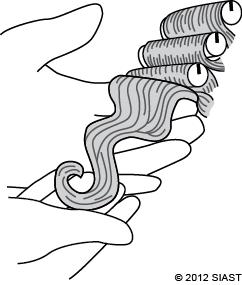 18. Check the hair on all sides of the head if the strand has formed a firm letter S, the size of the rod (see the following figure). 19.