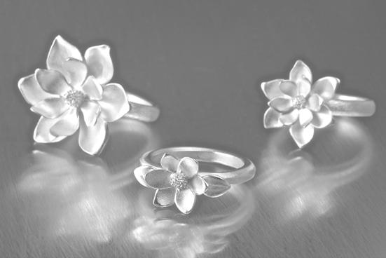 BX101f magnolia rings