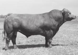 STABILIZER REFERENCE SIRES WS BEEF MAKER R13 (MBR) Birth Date: 06/02/2005 Ident: ZSIIMUPA013 Grade: MBR Sex: M Colour: Tattoo: IMUPA013 Gen.