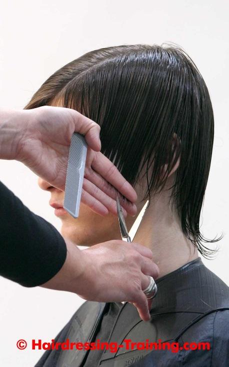 Step By Step 28: Finishing, Side Area Now that you have completed the perimeter, you can personalise your haircut.