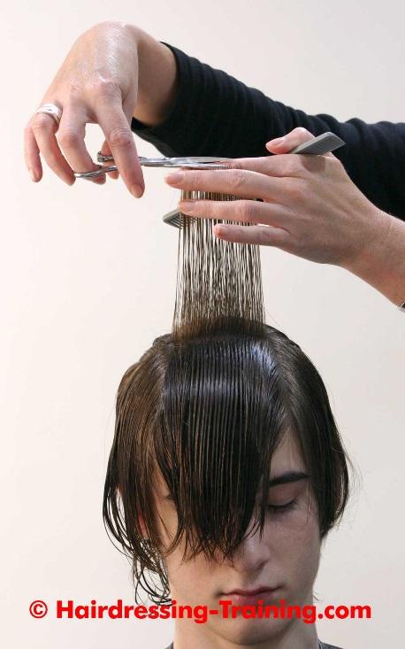 Tip: The client's head should be in an upright position at all times. And remember to keep the hair wet throughout your cut. Step By Step 9: Top Box Section Split the top area into three box sections.