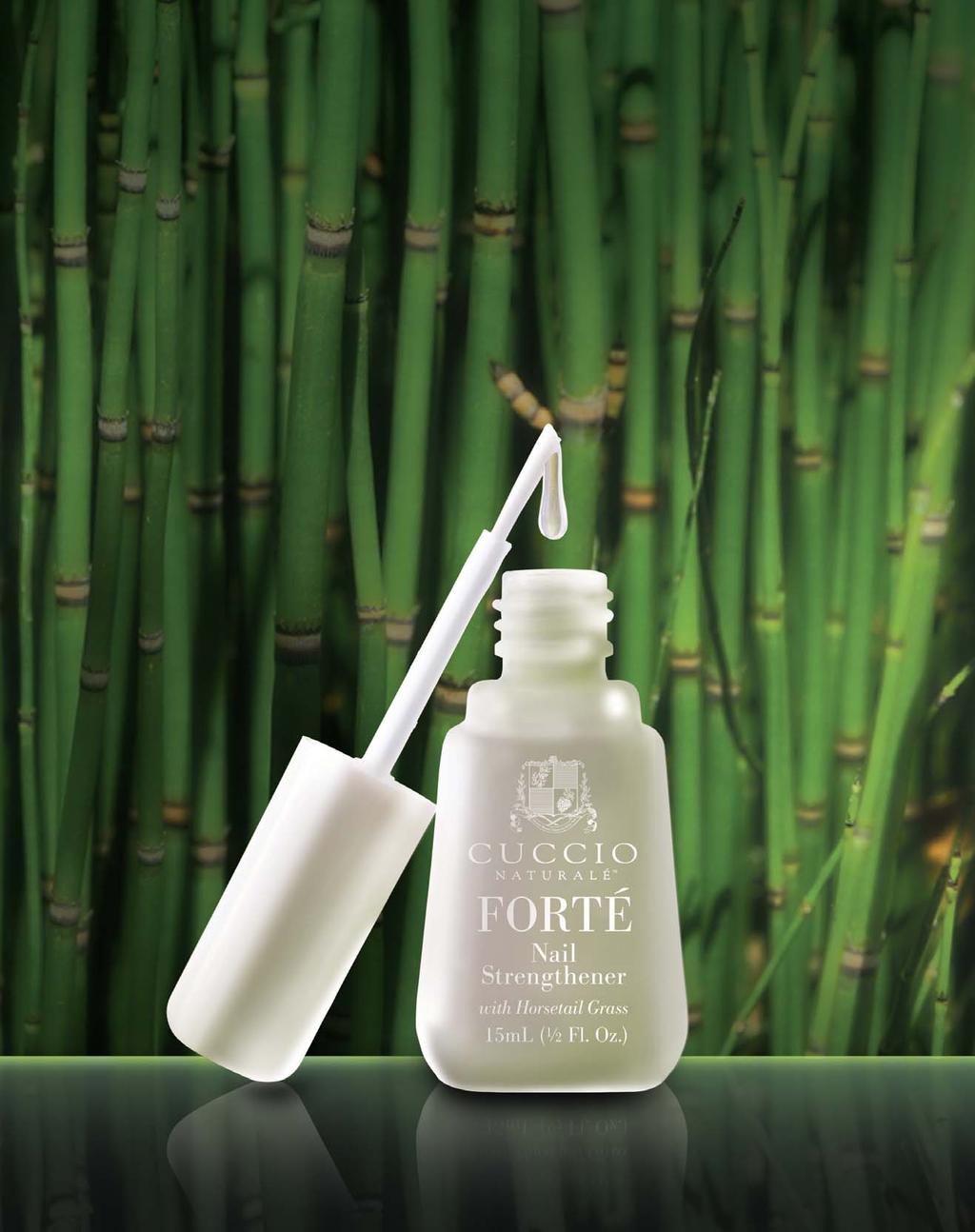 Strengþ and No Formaldehyde or Toluene Flexibility Infused with Horsetail Grass for Added Strength & Flexibility Forté Nail Strengthener No Formaldehyde or toluene.