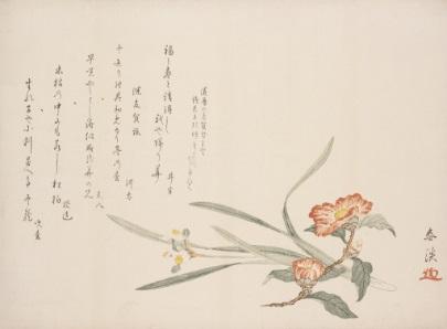 It is included here because its imagery is closely related to that of other works in the exhibition. Mori Shunkei, Japanese, active ca.