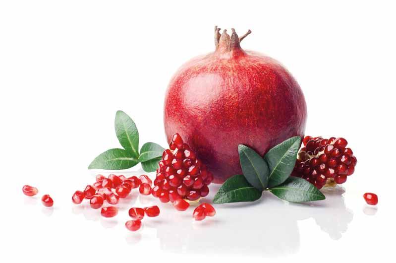 The pomegranate seed oil It is a true cure-all for the skin and was chosen to be implemented as the main ingredient of the Bio-expander Eco-Bio-Cosmetics line, because: It s anti-aging action can