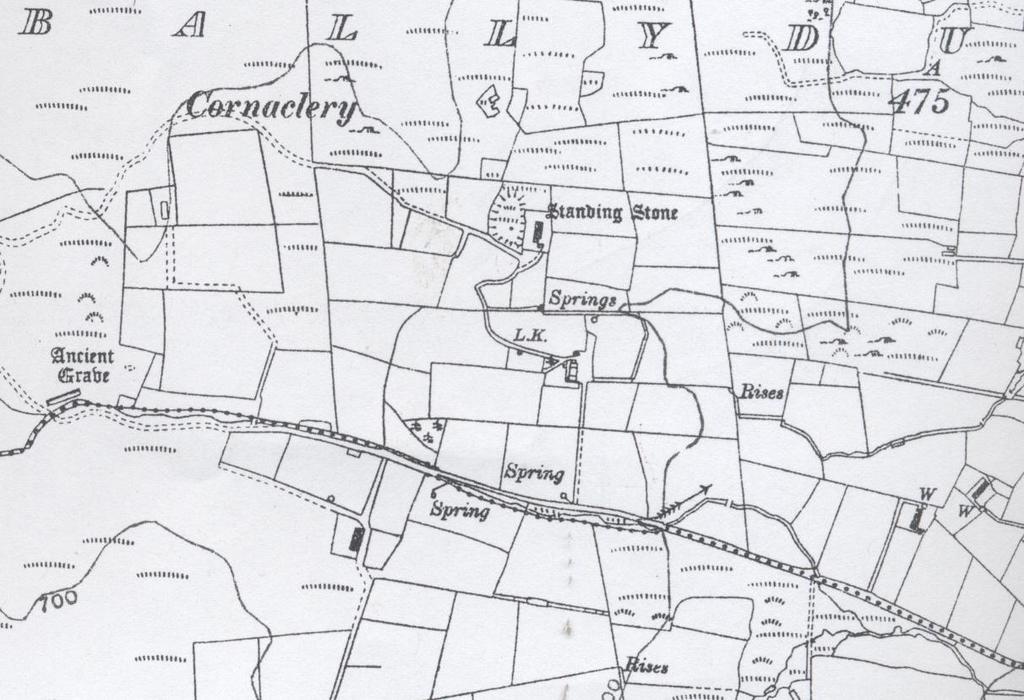 Figure 6: Revision of the 2 nd edition map (1925). The track way has completely disappeared by this stage. 2.5 Placename evidence 2.5.1 The townland name of Ballydullaghan does not seem to have changed dramatically in the area s recent history.