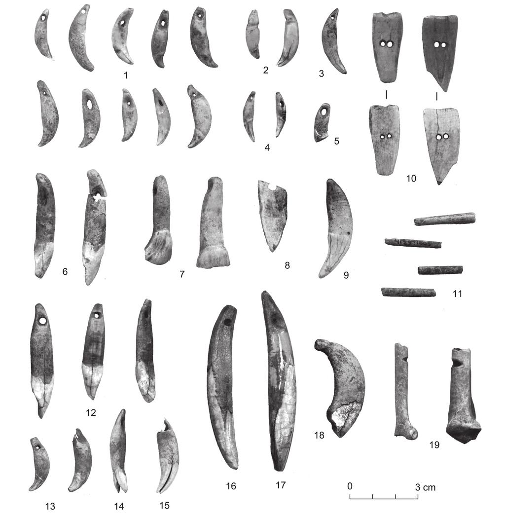 From the Neolithic to the Bronze Age: continuity and changes in bone artefacts in Saaremaa, Estonia 251 Fig. 12. Pendants and beads from the Neolithic sites of Loona (1-11) and Naakamäe (12-19).