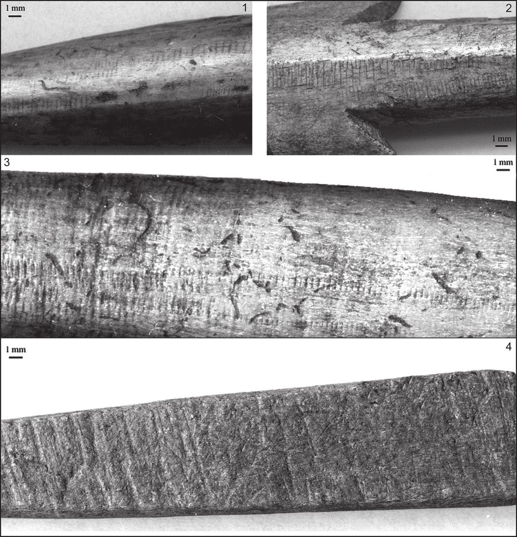 From the Neolithic to the Bronze Age: continuity and changes in bone artefacts in Saaremaa, Estonia 257 Fig. 18.