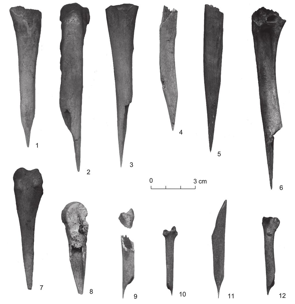 From the Neolithic to the Bronze Age: continuity and changes in bone artefacts in Saaremaa, Estonia 247 Fig. 6. Bone awls from the Neolithic sites of Loona (4, 6, 7) and Naakamäe (1-3, 5, 8-12).