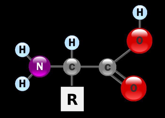 단백질들은 20 개의아미노산들로구성되어있다 pka=9? 중성 ph 용액에서아미노산들은쌍극성이온으로우세하게존재한다. 쌍극자형태에서는 (Zwitterion) NH3+ 와 COO- 로존재한다.
