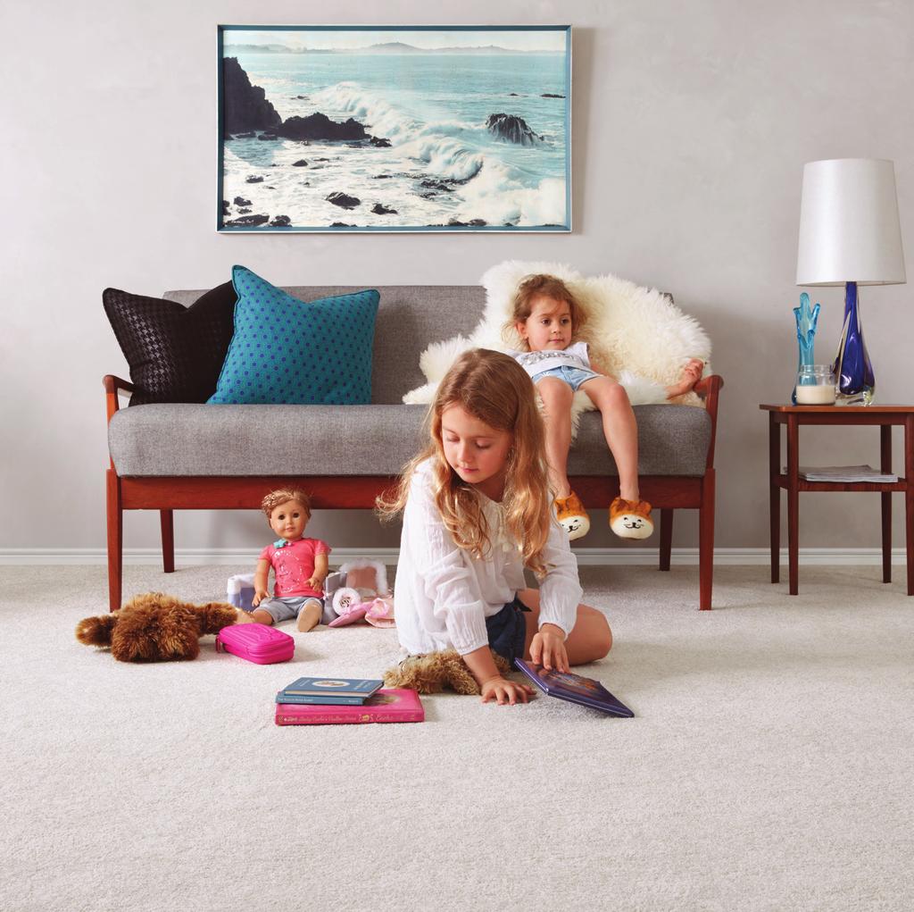 GENERAL TERMS AND CONDITIONS PROFESSIONALLY CLEAN YOUR CARPET AT LEAST EVERY TWO YEARS Professional cleaning must be carried out when your carpet still looks dirty after vacuuming or every two years