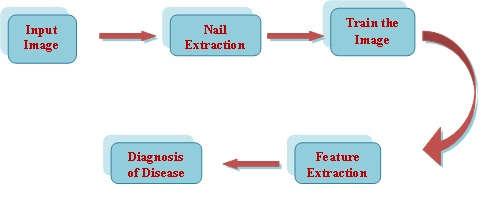 Step 1: Figure 2. Diagnosis of disease using Finger nail images IV.