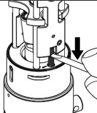 Put one corner of the screwdriver between the fourth and fifth coil and press the spring down as straight as