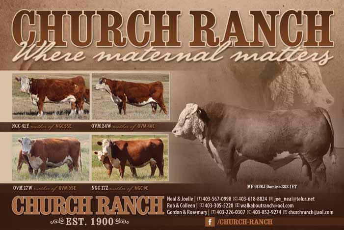 CONSIGNOR: CHURCH RANCH, Calgary, AB Consigned by: Church Ranch Consigned by: Church Ranch Lot 35 NGC