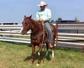 Consigned by: Get-R-Done Horse Training Lot 711 Rio Quarter Horse Reg 5508601 ROVAMS MISTER SLICK Born 23-May-12 Gelding Palomino 15.