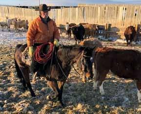 2019 Ranch Horse Sale Lot 713 Dandy Quarter Horse Reg 5004152 DANDY