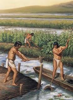 Mayan Jobs Mayans had a very complex society, one that required people to do many different types of work. However, most of that work was farming. In fact 90% of Mayan people were involved in farming.