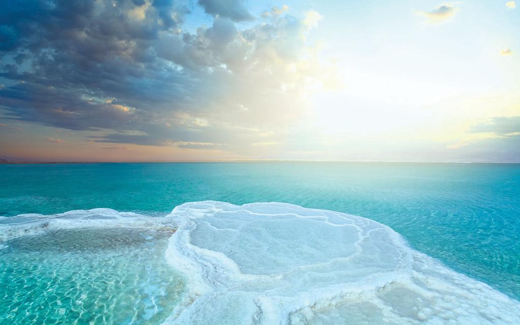A Gift of Nature The lowest point on earth, and the world's richest source of natural salts, hiding wonderful treasures
