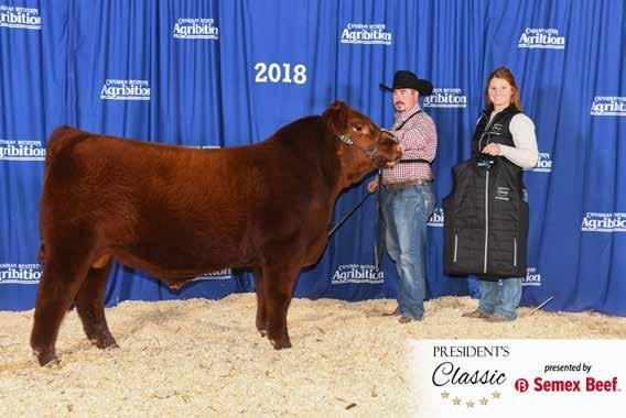 Red Wheel BarEL Patriot 60F Semex Presidents Classic Champion Red Angus Bull S RED BAREL ANTHEM 46A D RED WHEEL