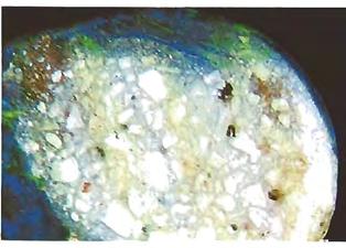 An interesting feature noted in one of the stones was the presence of blue areas confined to small sections of the flux inclusions.