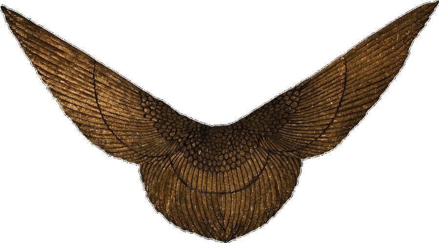 Cleopatra s Cape The cape is also referred to as the Isis, Ceremonial or Phoenix Cape, since the design was crafted to resemble the wings of a Phoenix according to the auctioneer.