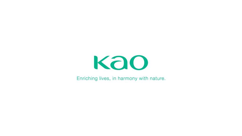 This report outlines the Kao Group's business reports and