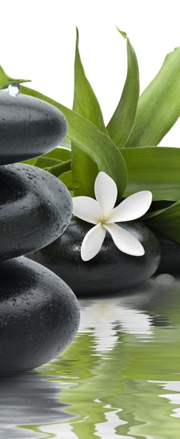 TOUCH Sea Stone Surrender to the healing warmth of this ancient massage.
