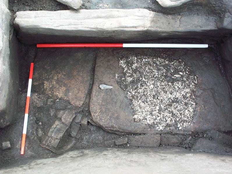 Plate 9 The cremation deposit prior to excavation showing location of