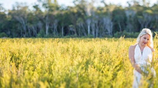 Our tea tree plantations are located within the lush borders of the Bungawalbin National Park in northern New South Wales, Australia.