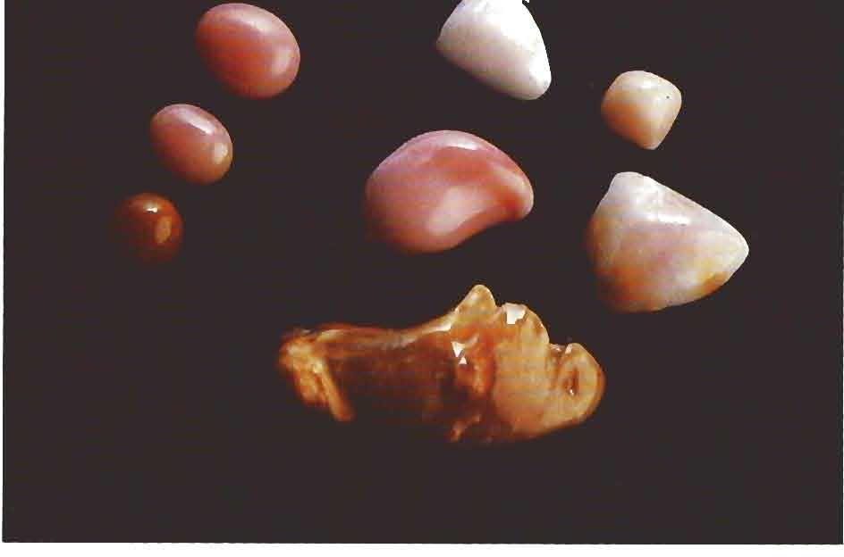 GEMOLOGY OF THE CONCH "PEARL" For this article, we examined more than 150 conch 'pearls," which ranged from 0.2 to over 40 ct (2 to 22 mm). Most of the specimens had been acquired by Ms.