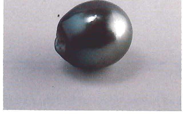 As seen in figure 8, the pearl is fairly synlmetrical in shape and is free of any blemishes except for one circular growth line.