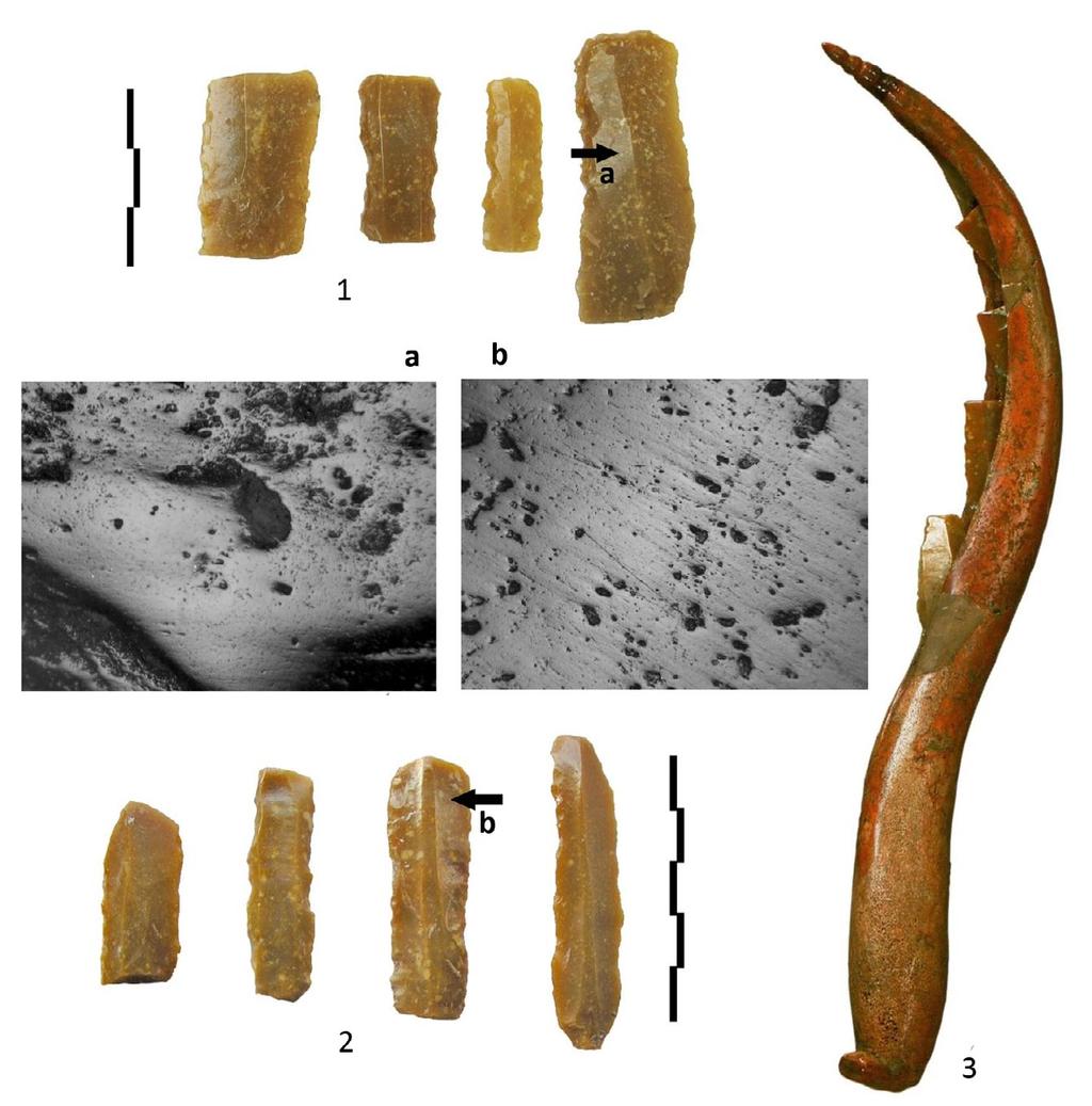 Maria Gurova Fig. 2. 1 Formal tools (sickle inserts) from Yabalkovo site; 2 formal tools (sickle inserts) from the Kovačevo site; 3 Karanovo I sickle.