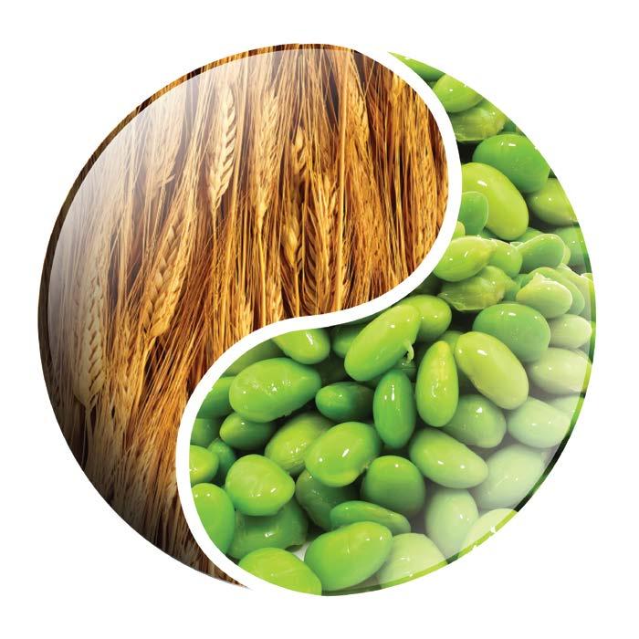 The Vegetable Alternative Introducing Fision KeraVeg18, the vegetable-based alternative to animal keratin Cohesive solution containing wheat & soy amino acids, with