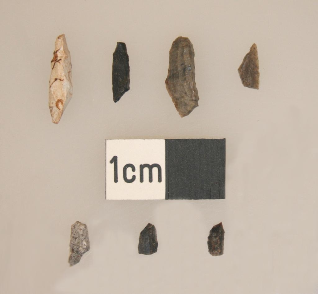 6 KH09 Trench 8. Artefact no s 1074, 1098, 803, 865, 1030, 1085, 1071. A selection of microliths and microlith fragments.