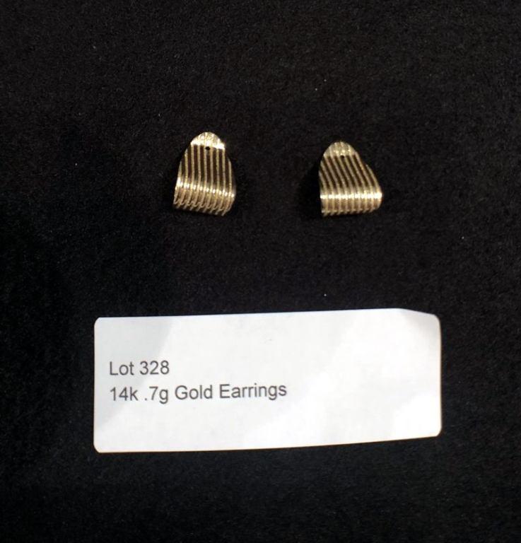 Earrings 319