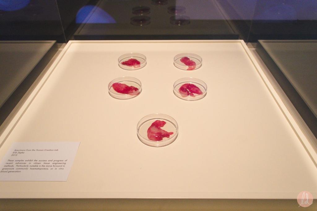 Specimens from the Human Creation Lab (2015)