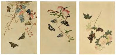 Lot 334 Lot 334 19th Century Anglo Chinese School - Three watercolours - Butterflies amongst foliage,