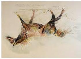 Dent (b.1959) - Pair of watercolours - Arabian Horses each signed and with descriptive inscription, 44.