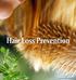Hair Loss Prevention. by