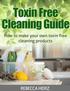 2. Toxin-Free Cleaning Guide