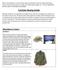 Combats Buying Guide