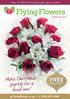 FREE. Make Christmas s sparkle for a loved one! DELIVERY. Over 30 NEW Christmas gift ideas inside! flyingflowers.co.uk or #